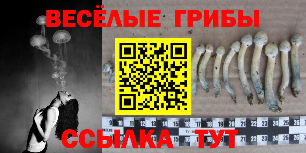 Галлюциногенные грибы мицелий  Псилоцибиновые грибы Magic Shrooms  Вход с VPN  Ахтубинск 